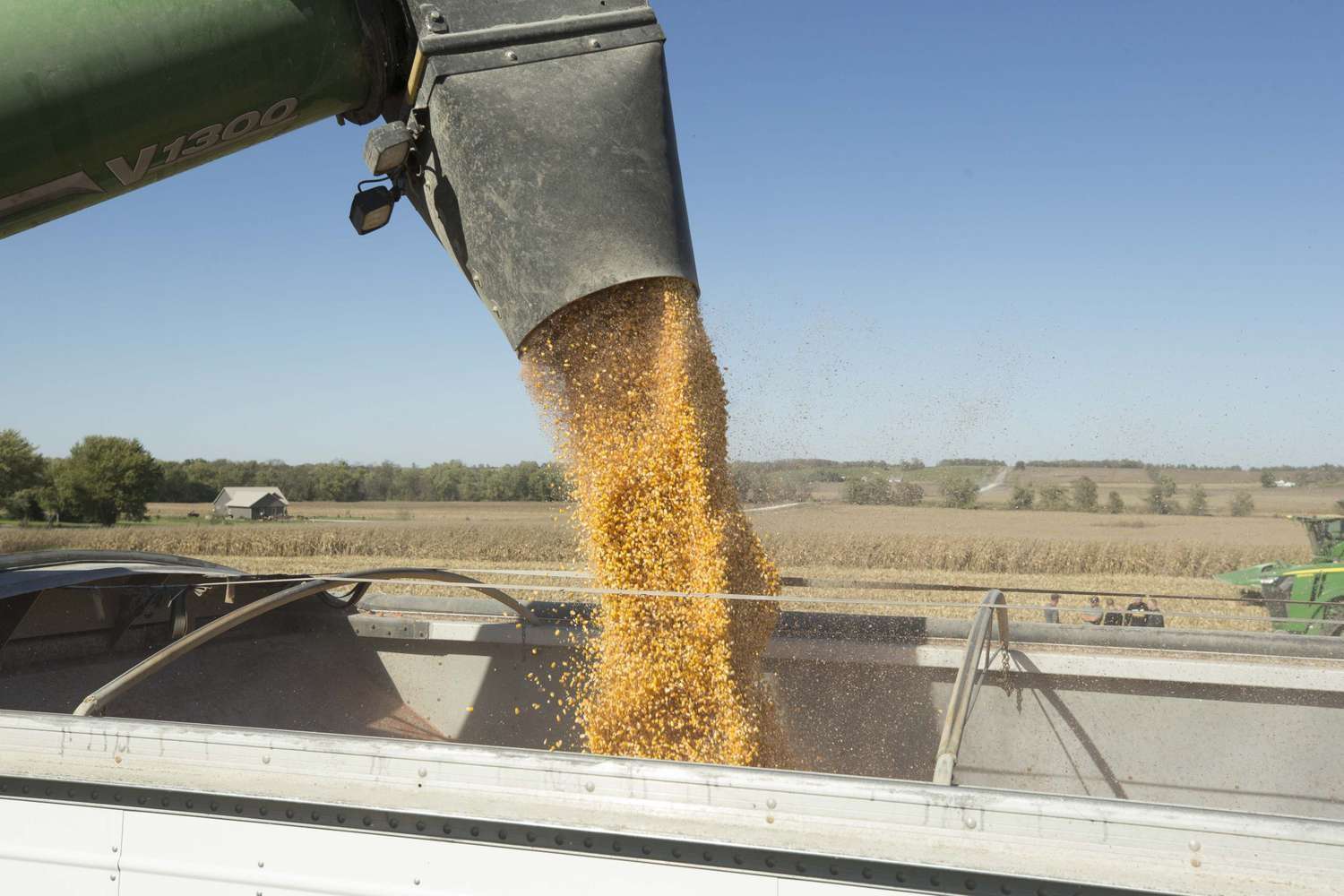 A Rich Ukrainian Heiress Invests in Agriculture