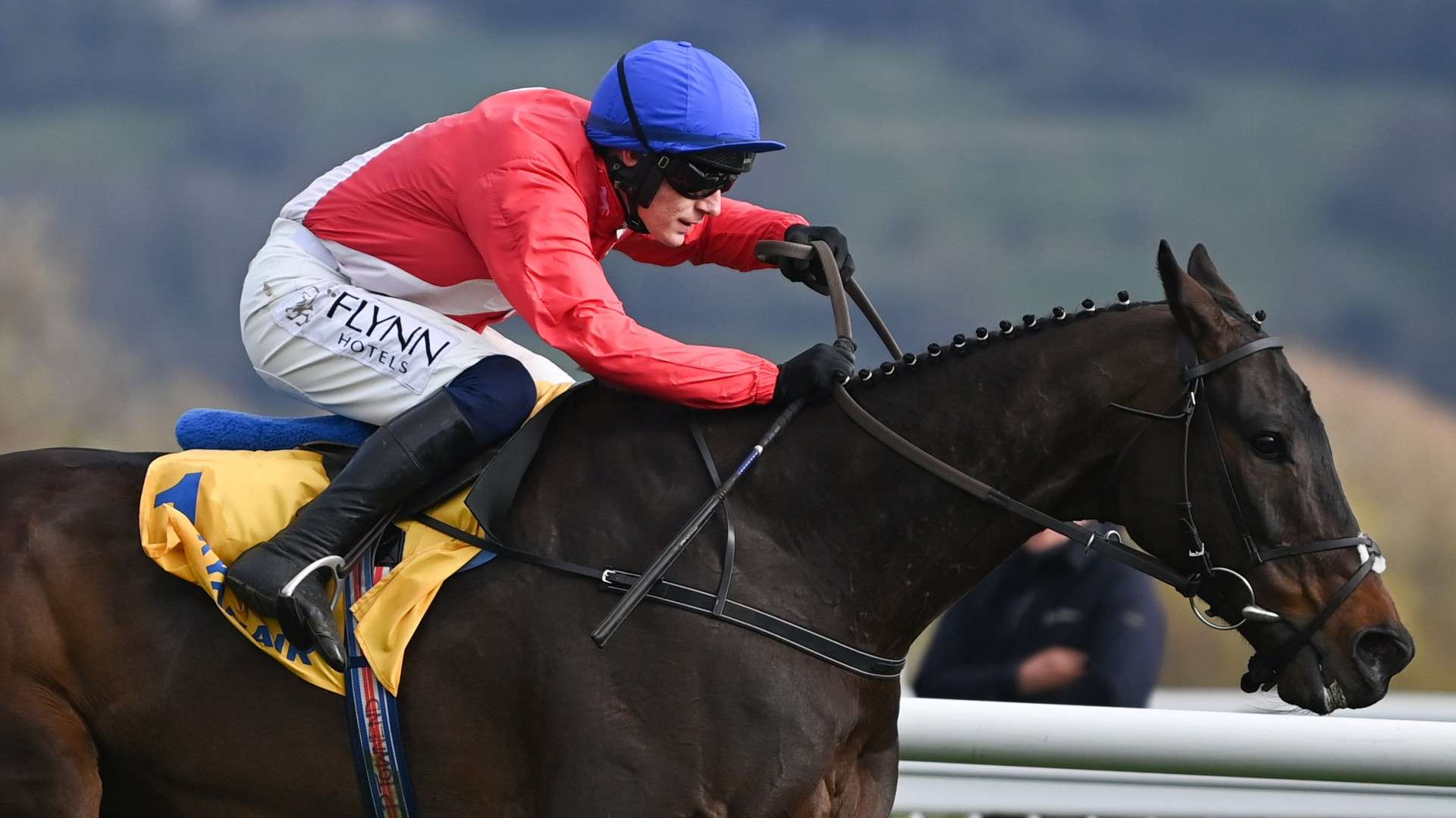 Hot Ryanair Chase favourite Allaho ruled OUT of Cheltenham Festival by trainer Willie Mullins in huge blow to punters