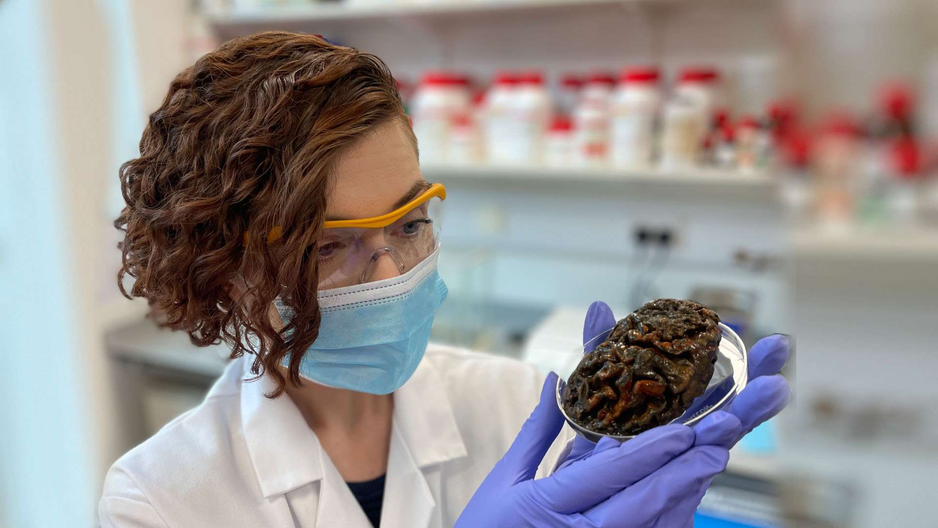 Mysterious preserved human brains found after thousands of years including 12,000-year-old specimen baffling scientists