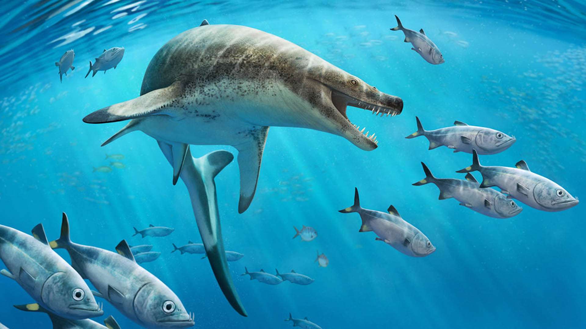 ‘Nightmarish’ 27ft sea lizard ‘related to Anaconda’ with ‘dagger-like teeth’ ruled dinosaur oceans with ‘terrible’ bite ‘Nightmarish’ 27ft sea lizard ‘related to Anaconda’ with ‘dagger-like teeth’ ruled dinosaur oceans with ‘terrible’ bite