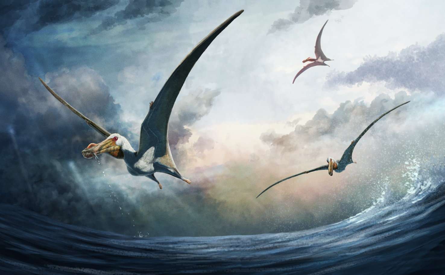 New species of ‘fearsome’ prehistoric flying reptile unearthed with wings as big as an entire giraffe New species of ‘fearsome’ prehistoric flying reptile unearthed with wings as big as an entire giraffe