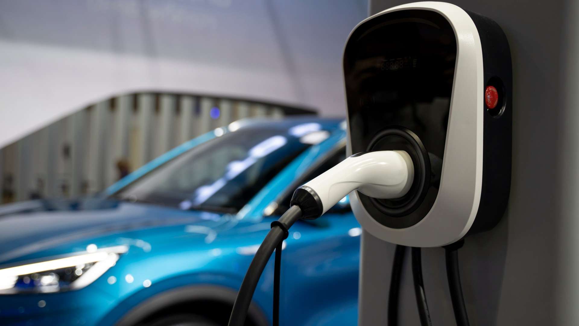 Next government must bat away eco fanatics – UK cannot jeopardise energy security by relying solely on electricity Next government must bat away eco fanatics – UK cannot jeopardise energy security by relying solely on electricity