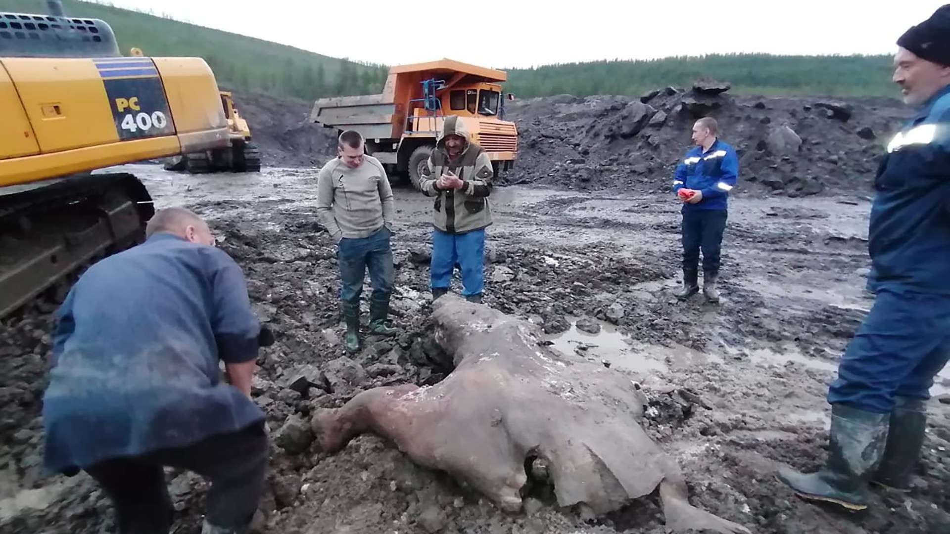 Miners find nearly perfectly preserved woolly rhino from 10,000 years ago as experts hope to bring animal ‘back to life’ Miners find nearly perfectly preserved woolly rhino from 10,000 years ago as experts hope to bring animal ‘back to life’