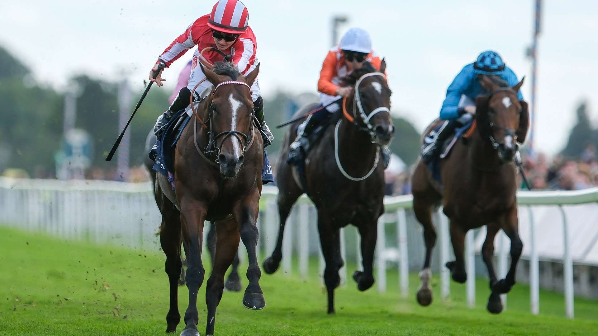 Templegate’s Tote Placepot tips for day four of York with £200,000 guaranteed