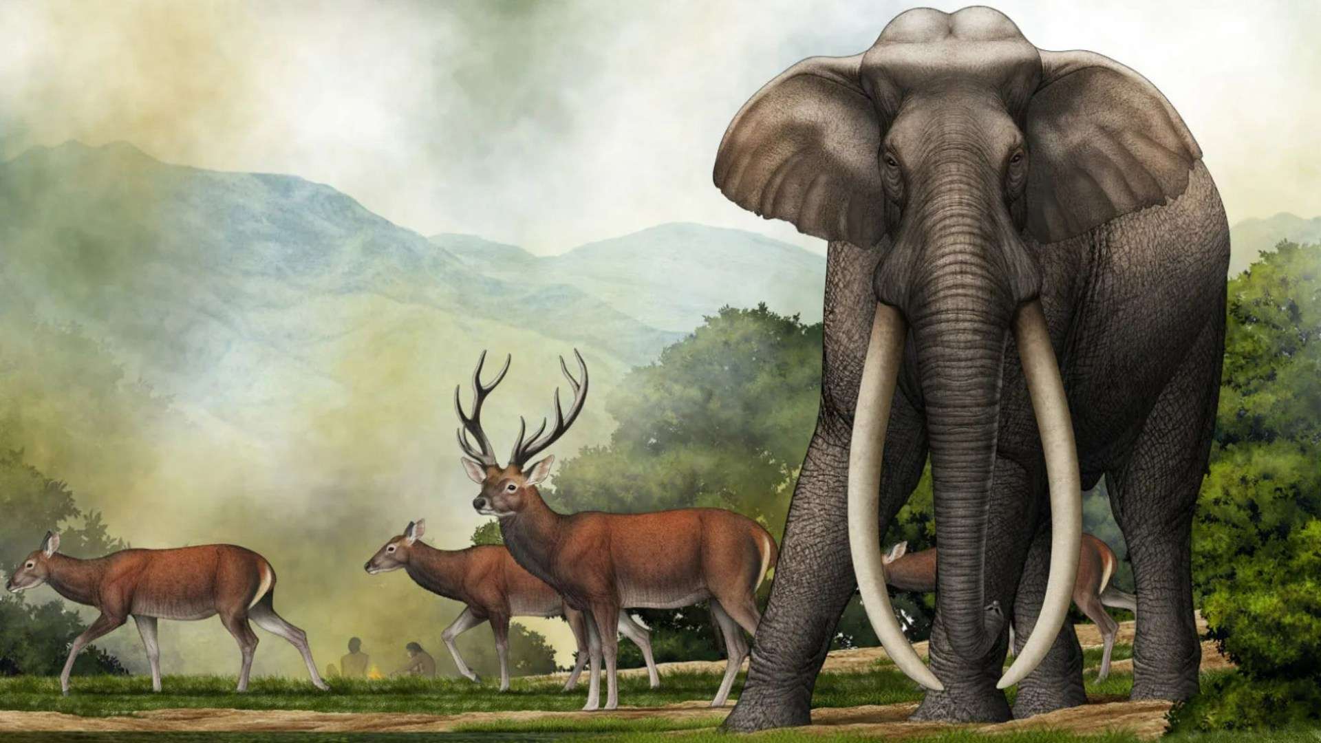Ancient giant elephant graveyard proves colossal creatures were REAL and roamed Earth 300,000 years ago, say scientists Ancient giant elephant graveyard proves colossal creatures were REAL and roamed Earth 300,000 years ago, say scientists