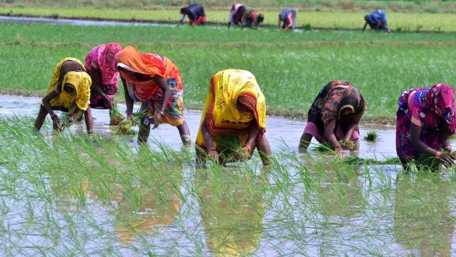 Assistance to Chief Minister's Crop Storage Structure Scheme to protect against calamities increased from 75 thousand to 1 lakh