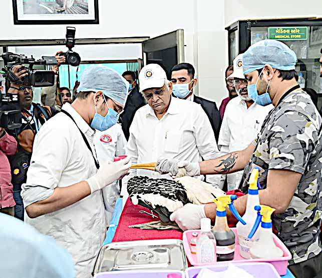 For treatment and protection of animals and birds “Karuna Abhiyan-2025” will be conducted from January 10 to 20