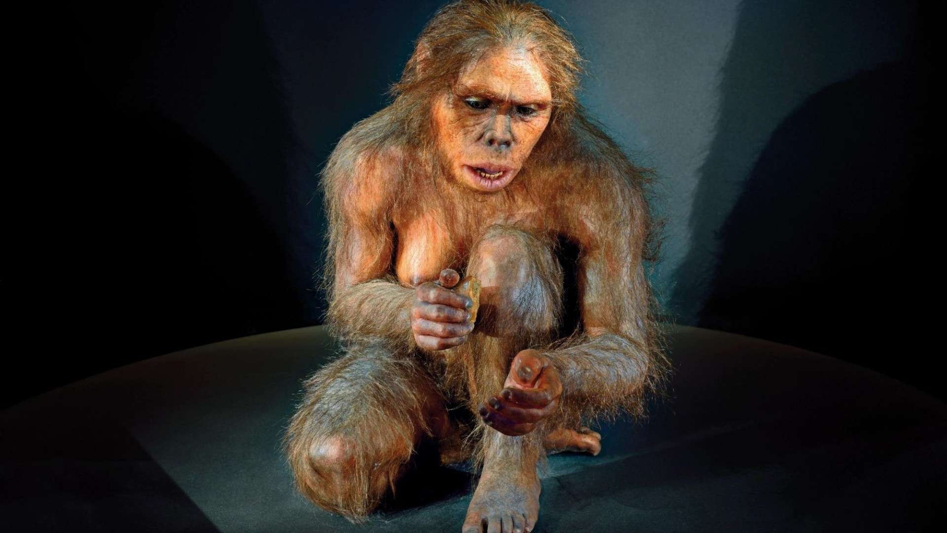 Incredible 3m-year-old VEG PEELERS used by world’s oldest ‘humans’ like half-ape ‘Lucy’ discovered…& they’re STILL sharp