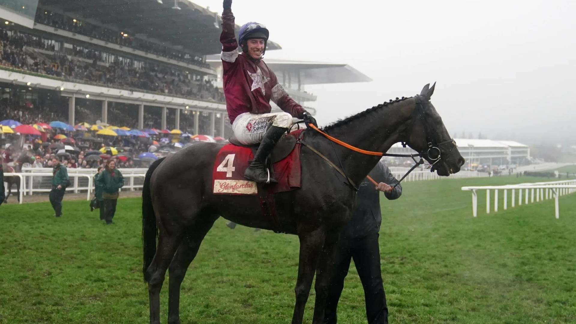 Delta Work dead: Racing fans pay tribute as three-time Cheltenham winner and Grand National runner-up dies after illness