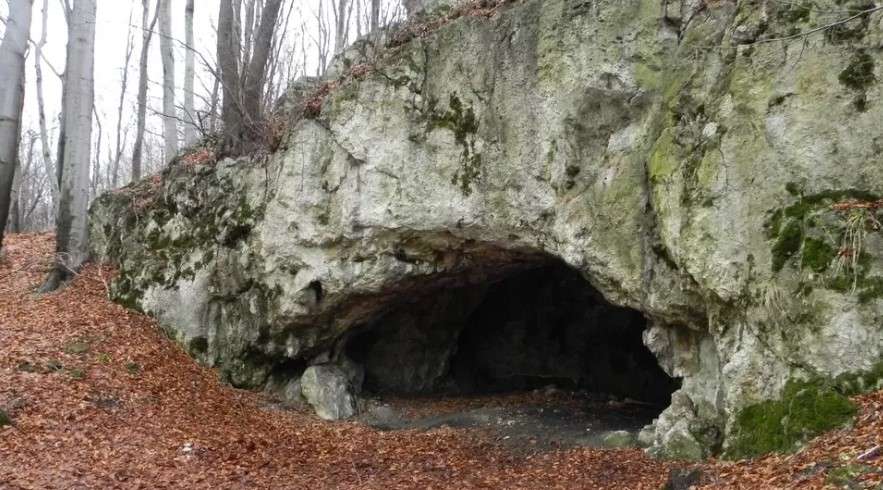 Gruesome evidence of early European cannibals who ate the BRAINS of their enemies to celebrate war victories uncovered Gruesome evidence of early European cannibals who ate the BRAINS of their enemies to celebrate war victories uncovered
