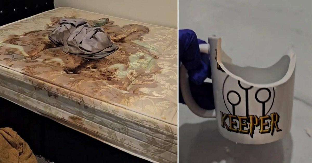 Harry Potter holiday home forced to close after guest leaves ‘horrific scene’