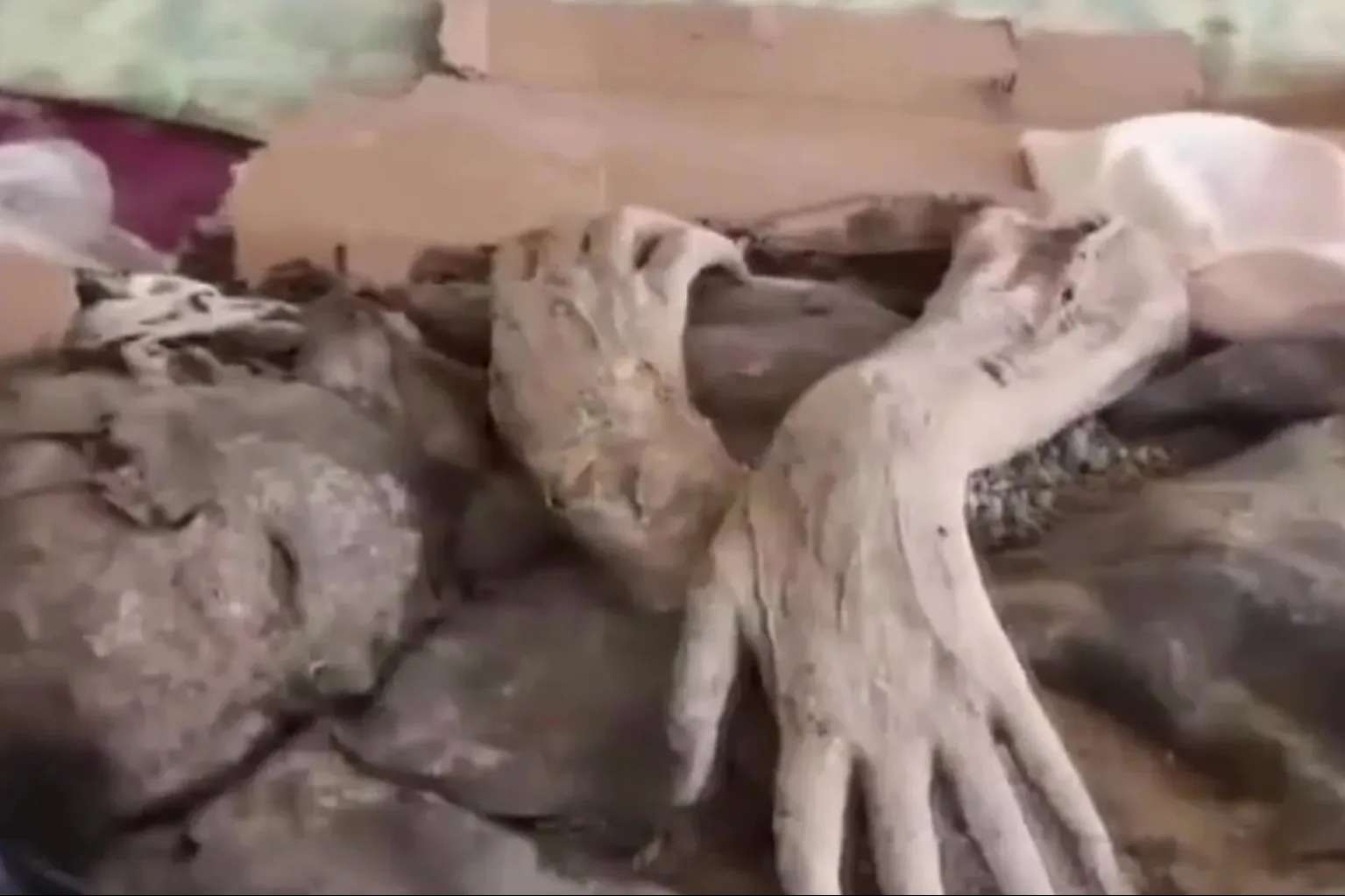 Creepy well-preserved medieval MUMMY found in person’s house after shock raid by anti-smuggling police Creepy well-preserved medieval MUMMY found in person’s house after shock raid by anti-smuggling police