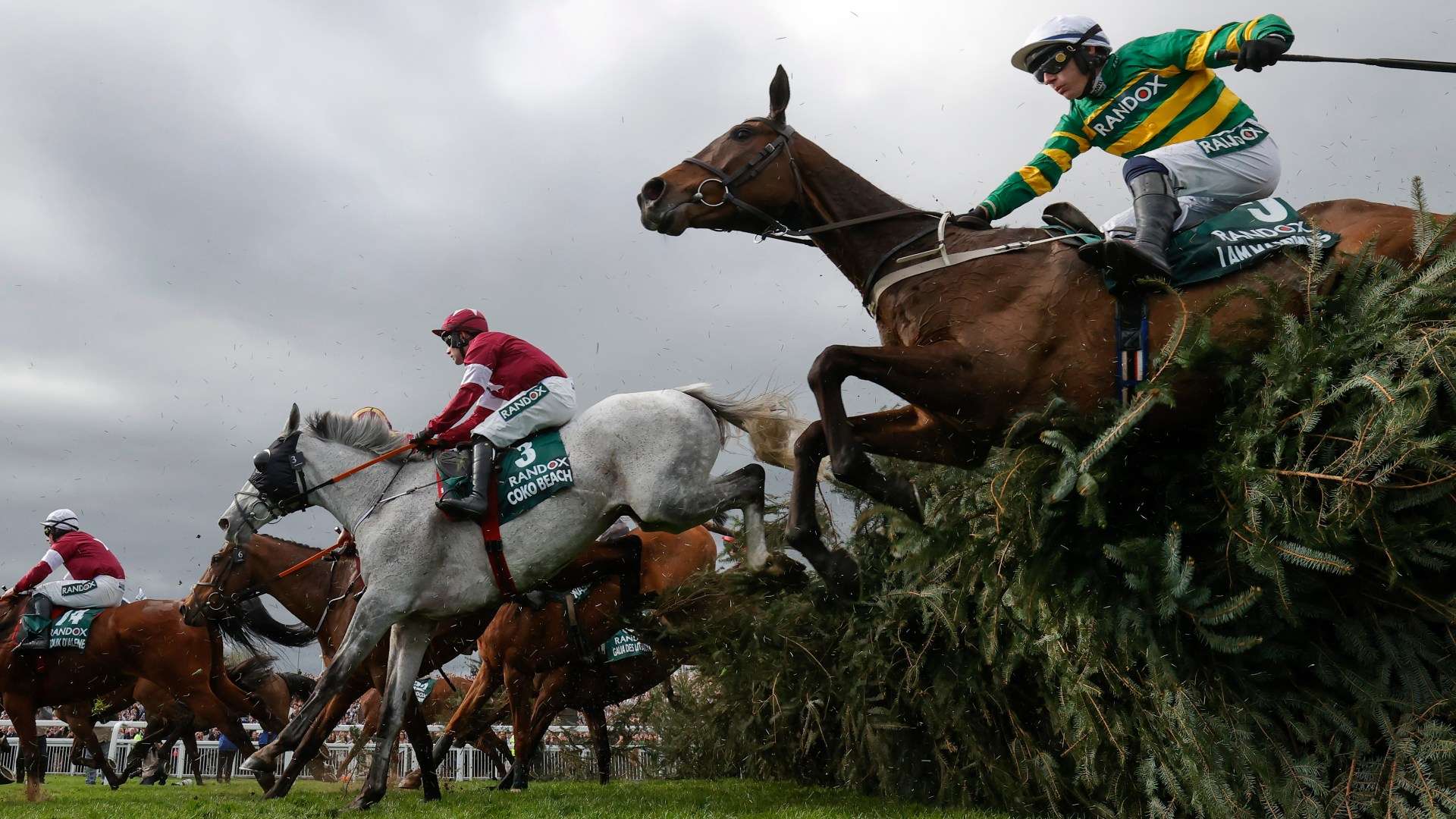 Grand National CONFIRMED runners and riders as 34 go to post for £1million Aintree race Grand National CONFIRMED runners and riders as 34 go to post for £1million Aintree race